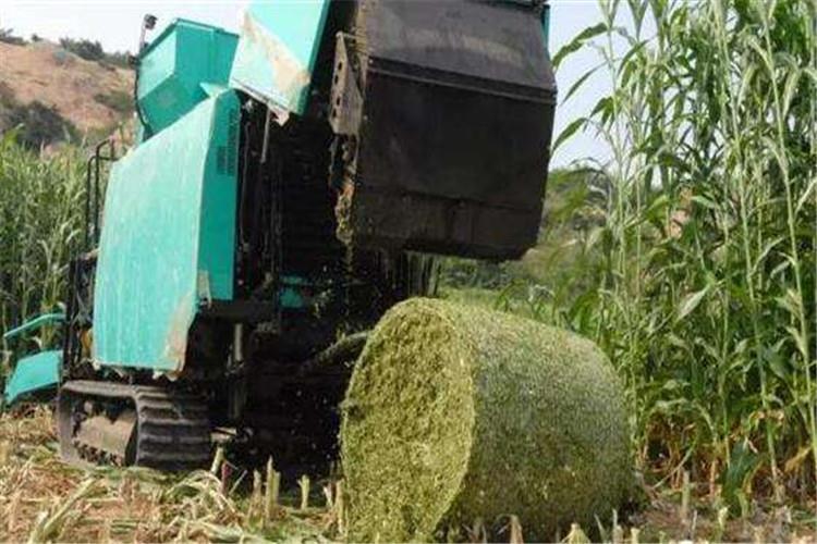 分別清洗秸稈打捆機（jī）水垢油垢 還應注意相關細節